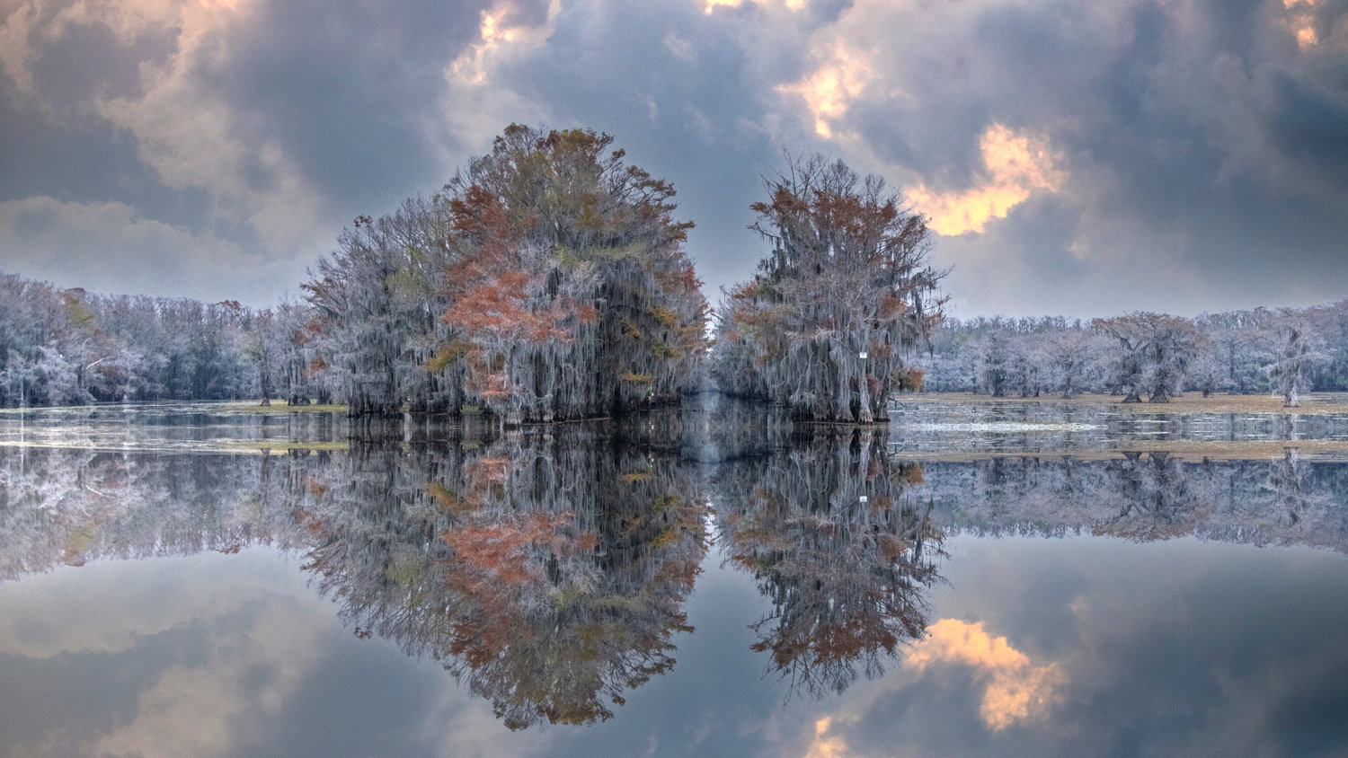 Louisiana Gallery Jim Zuckerman Photography Photo Tours