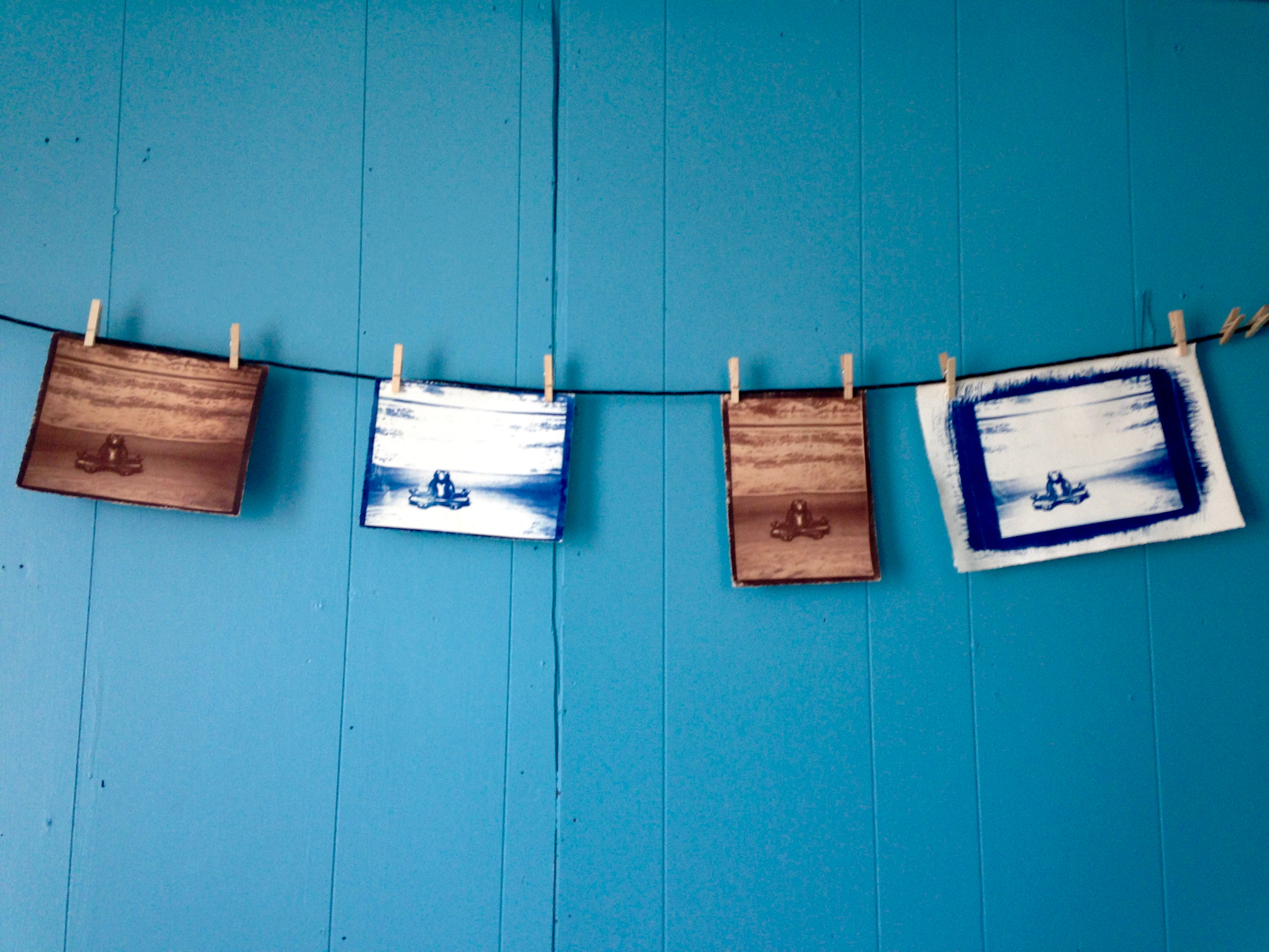 Cyanotypes and kallitypes hanging to dry