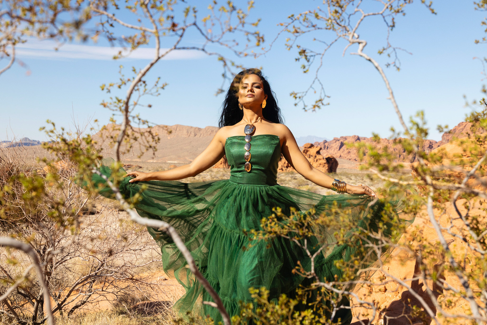 Green Goddess in the Desert: On-Location Magic at Valley of Fire - Cynthia  Bennett Photography, LLC