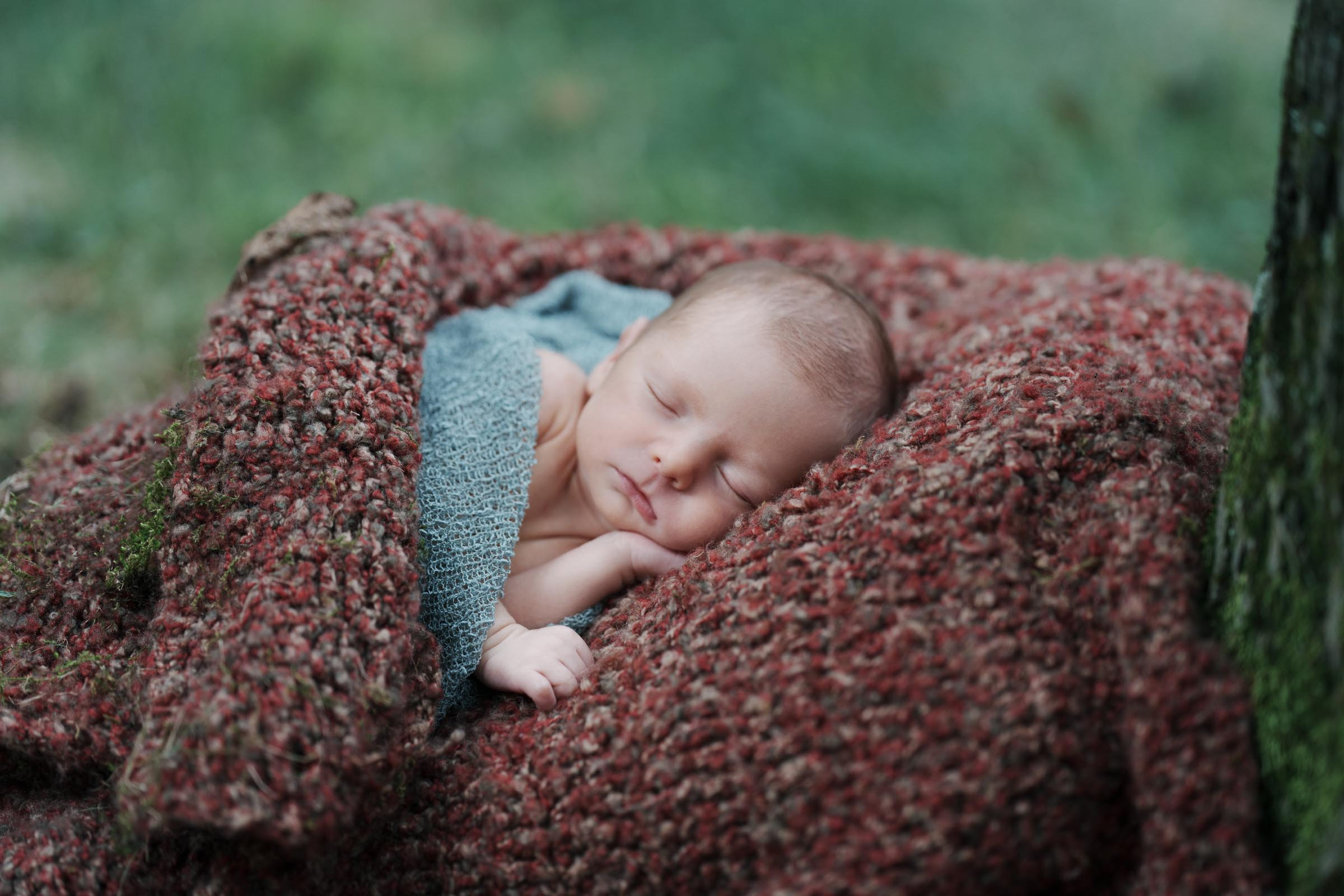 Newborn Portraits of Baby Meyer Cranberry Township and Mars Photographer
