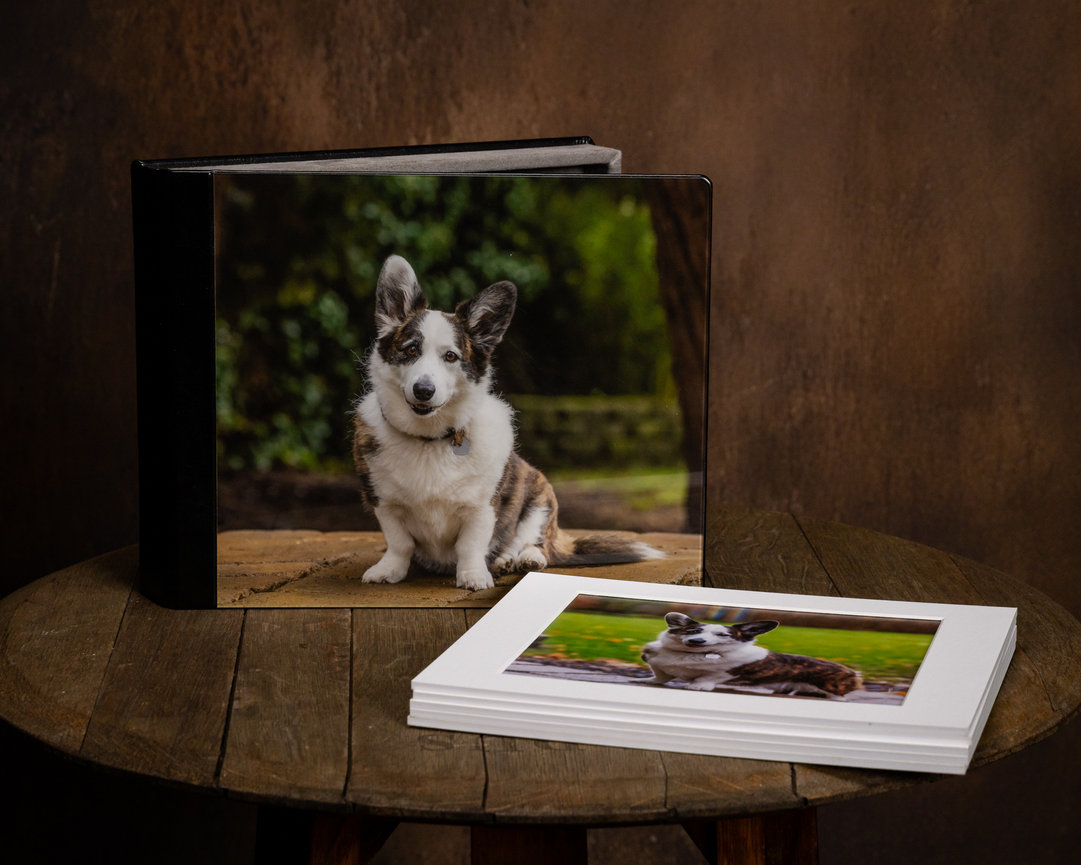 custom pet photography folio box with acrylic cover and matted portrait prints