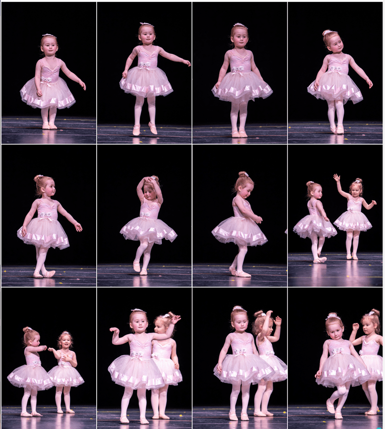 Individual Photo Gallery Samples