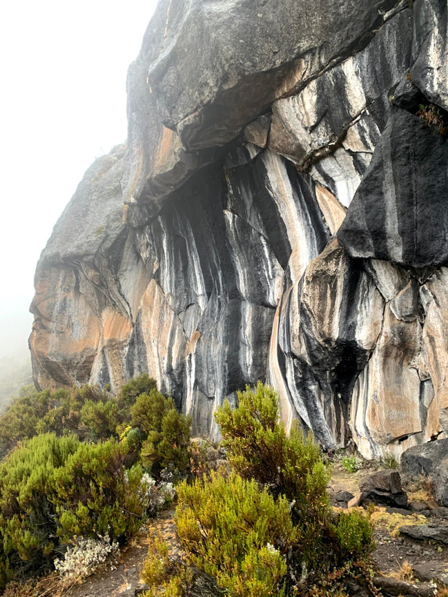 Climbing Kilimanjaro - Nicole Christiansen Photography