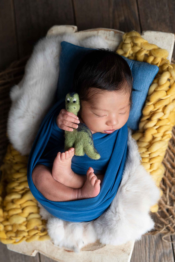A newborn baby sleeps peacefully in a blue wrap, clutching a small green dinosaur toy. The little one rests on a soft, furry cushion with a yellow knitted blanket beneath, all placed on a wooden surface— of Illinois own Sleepy Hollow charm.