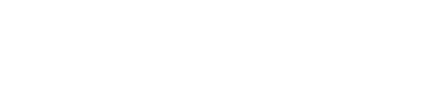 Envizib Logo