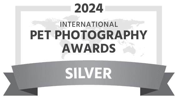 2024 International Pet Photography Awards - Silver