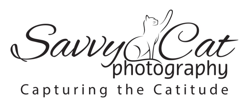 Savvy Cat Photography  Logo