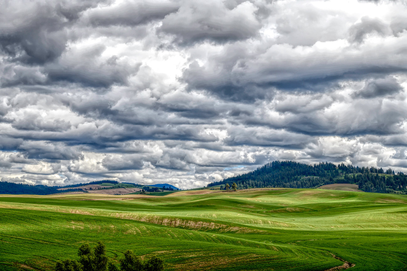 Pamela Dunn-Parrish Faith - Nature - Fine Art Photography